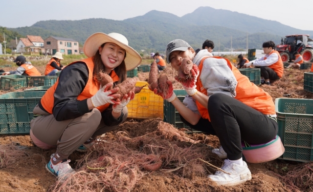 중앙그룹, 고구마 수확기 맞아 일손 돕기…수확 작물 1,000kg 저소득층 아이들에게 기부