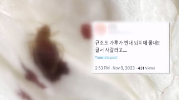 '빈대 잡으려다 사람 잡겠네' 위험한 가짜 퇴치법 주의보