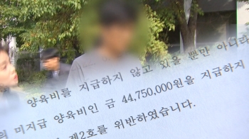 양육비 4천만원 떼먹은 '나쁜 아빠' 집행유예…실형 면했다