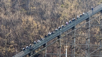 수십미터 상공에서 순간 작동 멈춘 롤러코스터…무슨 일?