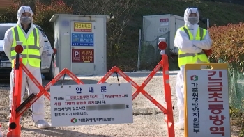 전남 고흥서 고병원성 AI 확진…오리 2만여 마리 '살처분'