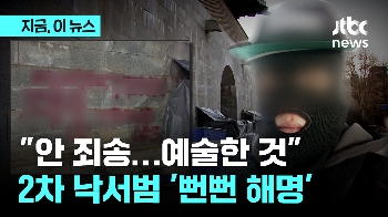 “예술했을 뿐“...경복궁 2차 낙서범이 남긴 심경은