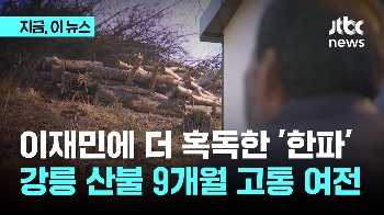 강릉 산불 9개월 아직도 '컨테이너'에…이재민에게 닥친 '혹한' 막을 건 전기 판넬 뿐