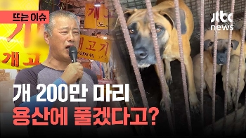 개 식용 금지법 통과...“용산에 개 200만 마리 푼다“ 반발