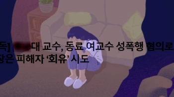 '여교수 성폭행 사건' 알고보니 거짓말…성폭행 아닌 성희롱이었다?