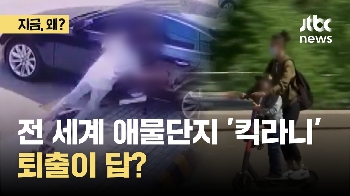 전 세계 애물단지 '킥라니'...퇴출이 답? 