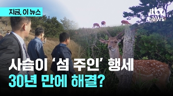 사람보다 많은 '사슴섬'…30년 만에 해법 찾아