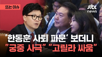 '한동훈 사퇴 파문' 보더니...“궁중 사극“ “고릴라 싸움“