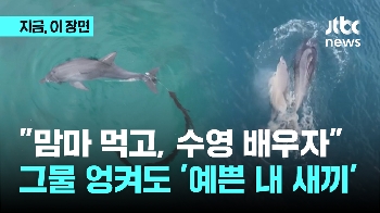 “맘마 먹고, 수영 배우자“…죽어가는 아기 못 떠난 이유