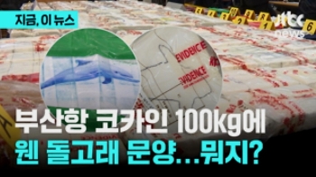 부산항 코카인 100kg에 웬 돌고래 문양…뭐지?