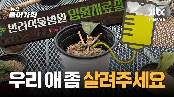 “입원하셔야겠네요“…반려식물도 아프면 병원에 간다