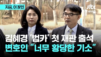 김혜경 '법인카드 유용 의혹' 첫 재판…변호인 “황당 기소“