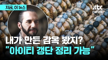 “아이티 갱단 정리 가능“...자신감 보인 옆 나라 대통령