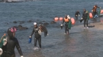 '고령화' 제주해녀, 명맥 끊길 판…3천명도 안 남았다