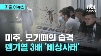 미주, 모기떼의 습격…뎅기열 3배 '비상사태'