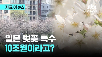일본 벚꽃 특수 1조엔? 개화 절정에 관광 활짝