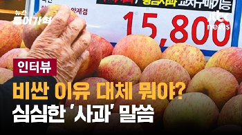 [인터뷰] '개당 4천원' 사과 비싼 건 아는데, 이유가? 언제까지?