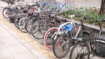 '도심 속 흉물' 방치된 자전거…70억 들인 무료 주차장은 '텅텅'