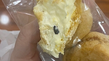 빵 속 크림에 파묻힌 바퀴벌레…“이미 절반 먹었는데“