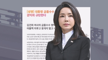 '명품백 의혹' 신고한 참여연대 “권익위, 법적 근거 없이 무기한 연장“