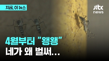 4월부터 '왱왱'…두 배로 뛴 '도심 모기 지수' 