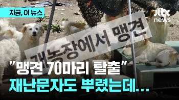 “맹견 70마리 탈출“ 재난문자에 대피했더니...알고 보니 오인 신고