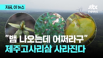 '제주고사리삼' 서식지 파괴위기...부실 조사 지적에 답변은?