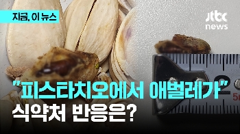 “피스타치오 먹다 1.5cm 애벌레 나왔다“…식약처 반응은?