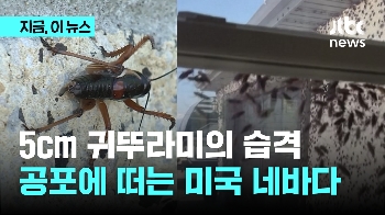 5cm 귀뚜라미의 습격...공포에 떠는 미국 네바다