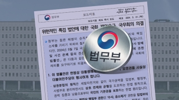 [팩트체크] 수사 도중 특검도입 전례 없다?…법무부 주장 따져보니