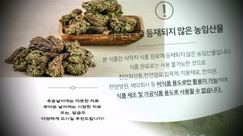 몸에 좋은 부처손?…'식용 불가' 농·임산물 판매 업체 적발