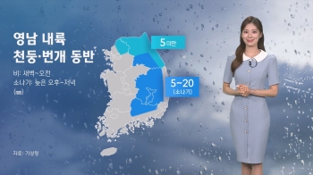 [날씨] 영남 내륙 천둥·번개 동반 비 소식…5~20㎜ 예상