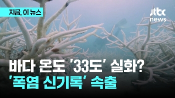 바다가 33도? '백색' 산호초...끓는 파키스탄 “수백명 열사병“