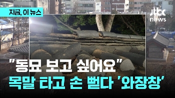 “동묘 보고 싶어요“...목말타고 손 뻗다 '와장창'