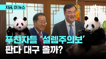 푸바오 동생 대구 올까?…중국 대사에 판다 한 쌍 요청