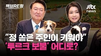 [백브RE핑] 투르크 '국보 개' 선물 받은 윤 대통령 부부…직접 키울까?