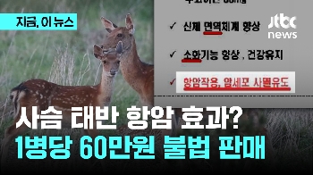 사슴태반 줄기세포 항암 효과?...'불법 수입' 일당 붙잡혀