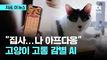 “집사...나 아프다옹“ 고양이 고통감별 AI