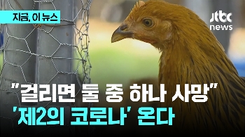 “사망률 50%, 제2 코로나“…조류인플루엔자 대유행?