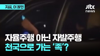 자율주행 아닌 자발주행...천국으로 가는 '족'?