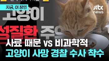 “사료 때문“ vs “비과학적“...고양이 집단폐사 경찰 수사 착수