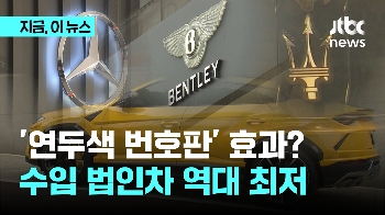 '연두색 번호판' 효과?...상반기 수입 법인차 역대 최저