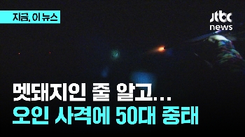 멧돼지인 줄 알고 '탕'…횡성서 동료 총에 맞은 50대 중태