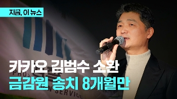 시세조종 혐의 김범수 소환...금감원 송치 8개월만