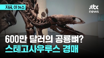 600만 달러의 공룡뼈?…스테고사우루스 경매 