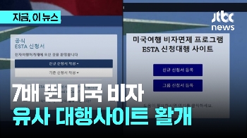 3만원짜리 미국 전자여행허가 발급비가 20만원?…유사 대행사이트 피해주의보