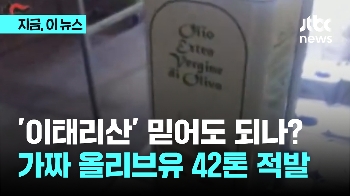 '이태리산' 믿을 수 있나? 싸구려 기름에 엽록소 넣은 '가짜 올리브오일' 유통