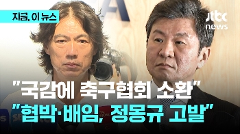 “홍명보 과거 행적·자질 우려…축협, 납득할 만한 조치 없을 경우 예산 '패널티' 줄 수도“