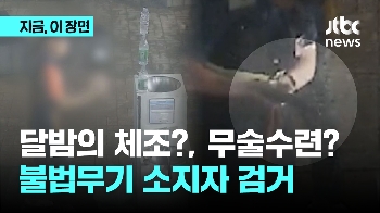 달밤의 체조? 무술수련?…불법 무기 소지자 검거