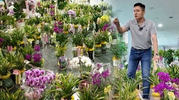 “의원님 축하“ '억' 소리 난다…수천개 화분 그냥 버려진다고?